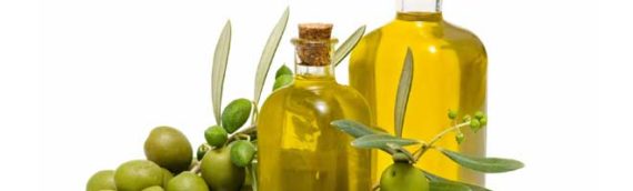 Zaitun Hydroxytyrosol Superantioksidan Ala Mediterania