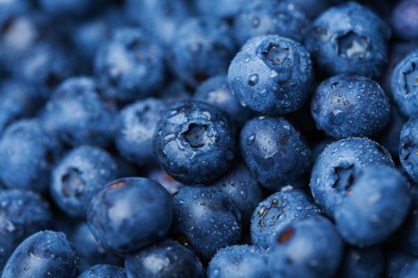 manfaat dan khasiat blueberry